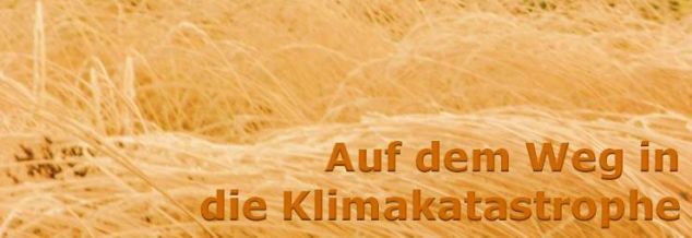 Überschwemmungen durch Starkregen, Trockenheit und Dürre, Tornados usw. - die Zeichen, die uns unser Wetter gibt, sind eindeutig